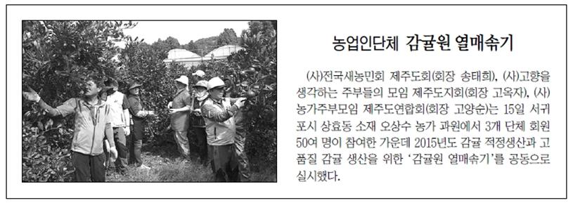 농업인단체, 감귤원 열매솎기 [제주신문-2015.9.16.]